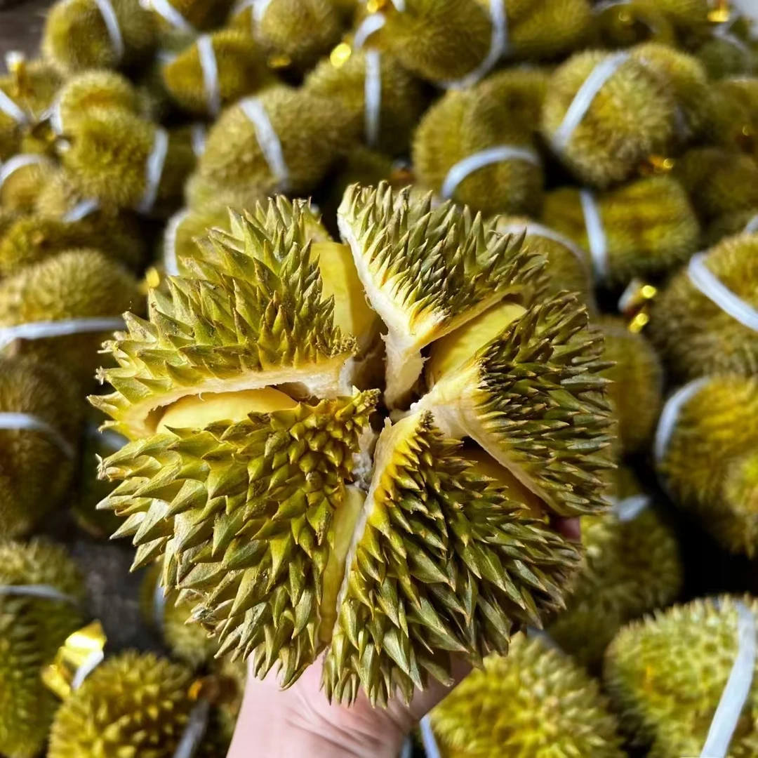 C【一号ZT】一物一拍泰国金枕榴莲路途10-15%水分重量蒸发请勿生切