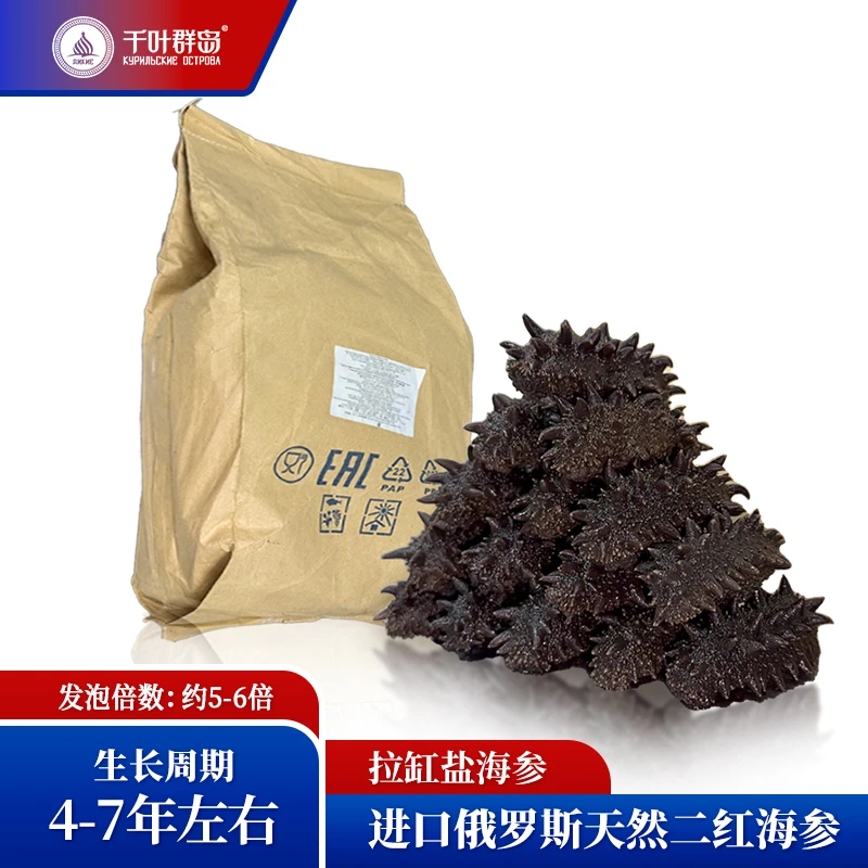 千叶群岛【原料必买】俄罗斯野生顶火拉缸盐海参5-6倍泡发