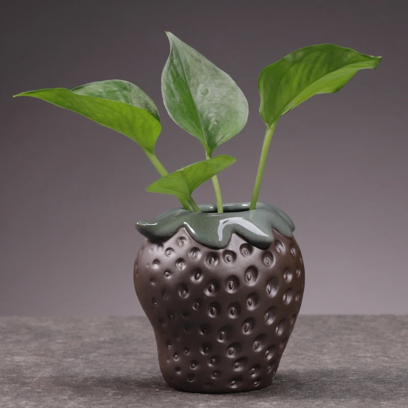 绿萝水培植物花卉小盆栽水养室内水生绿植盆栽四季办公室净化空气