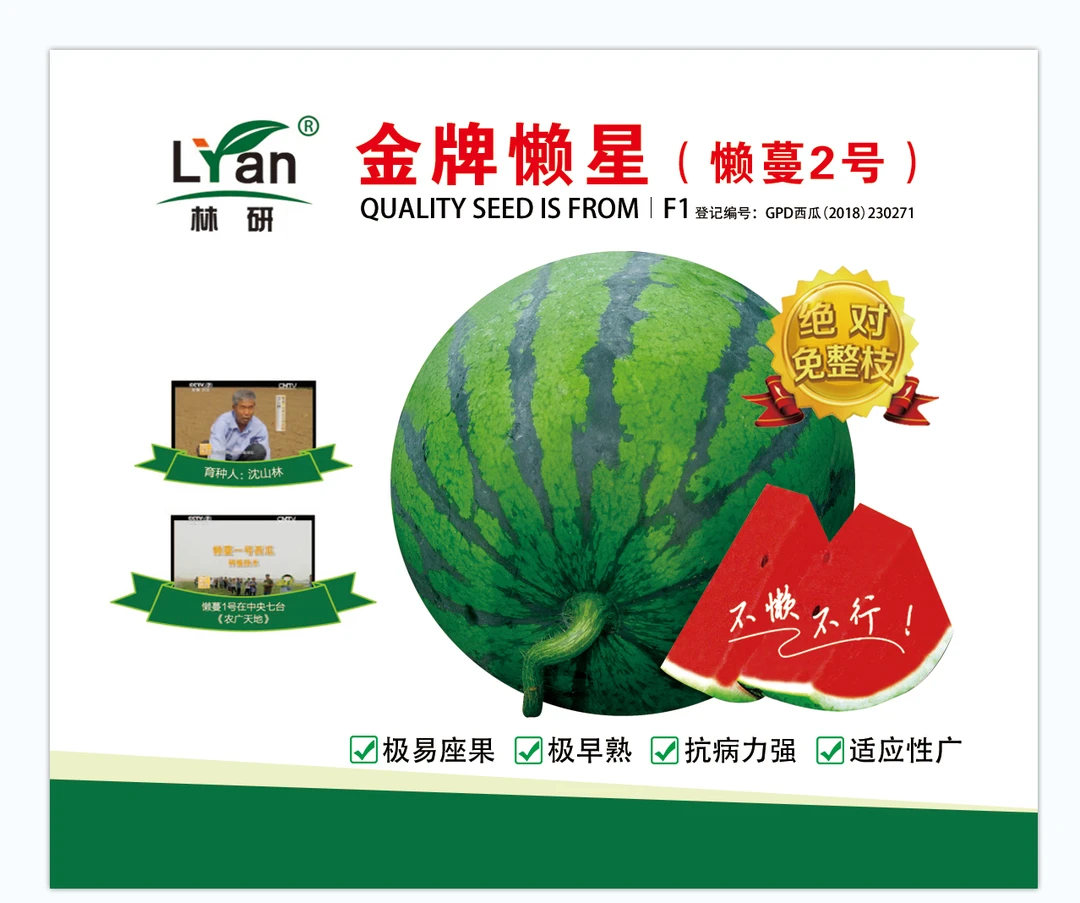 懒汉西瓜种子免整枝一盒700粒种子