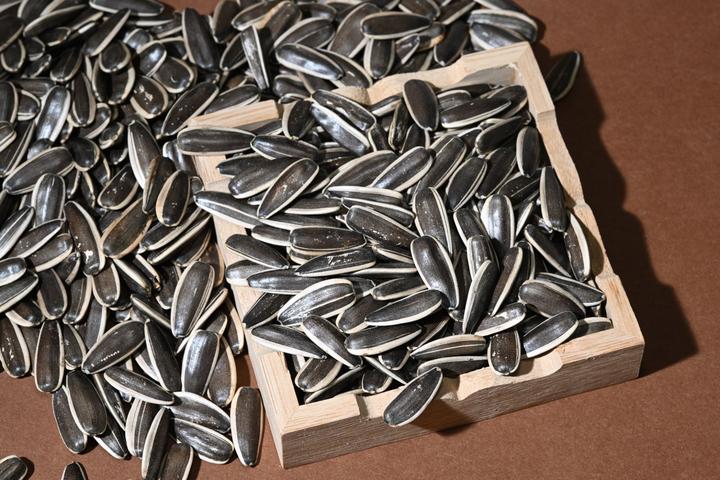 【大颗粒瓜子】原味新疆金核好吃363现炒现发精选厂家批发好吃酥脆