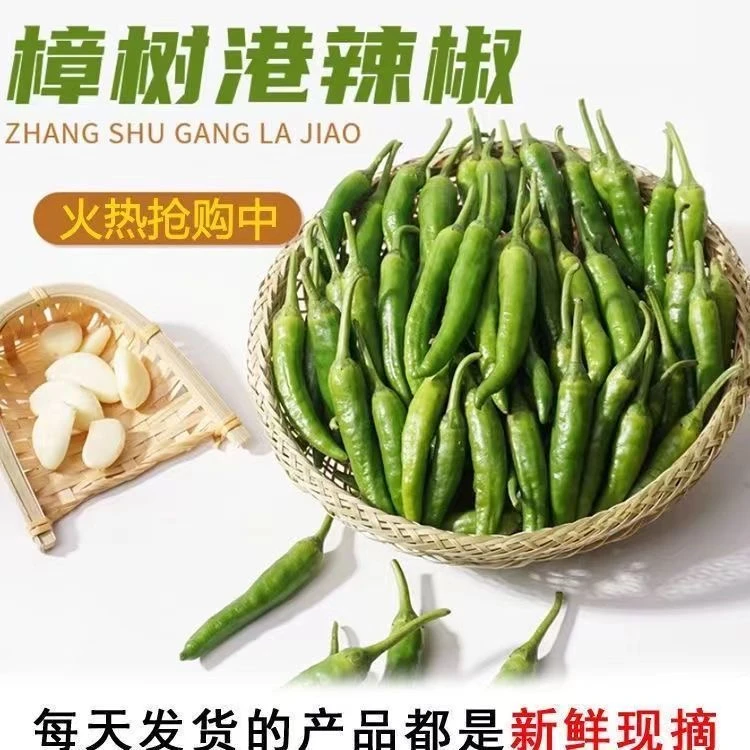 樟树原种辣椒清香皮薄肉嫩农家种植虎皮青椒新鲜现摘产地发货