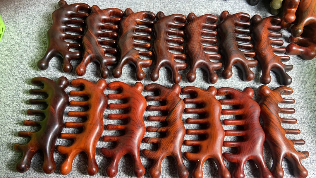 墨西哥红酸枝大蜗牛