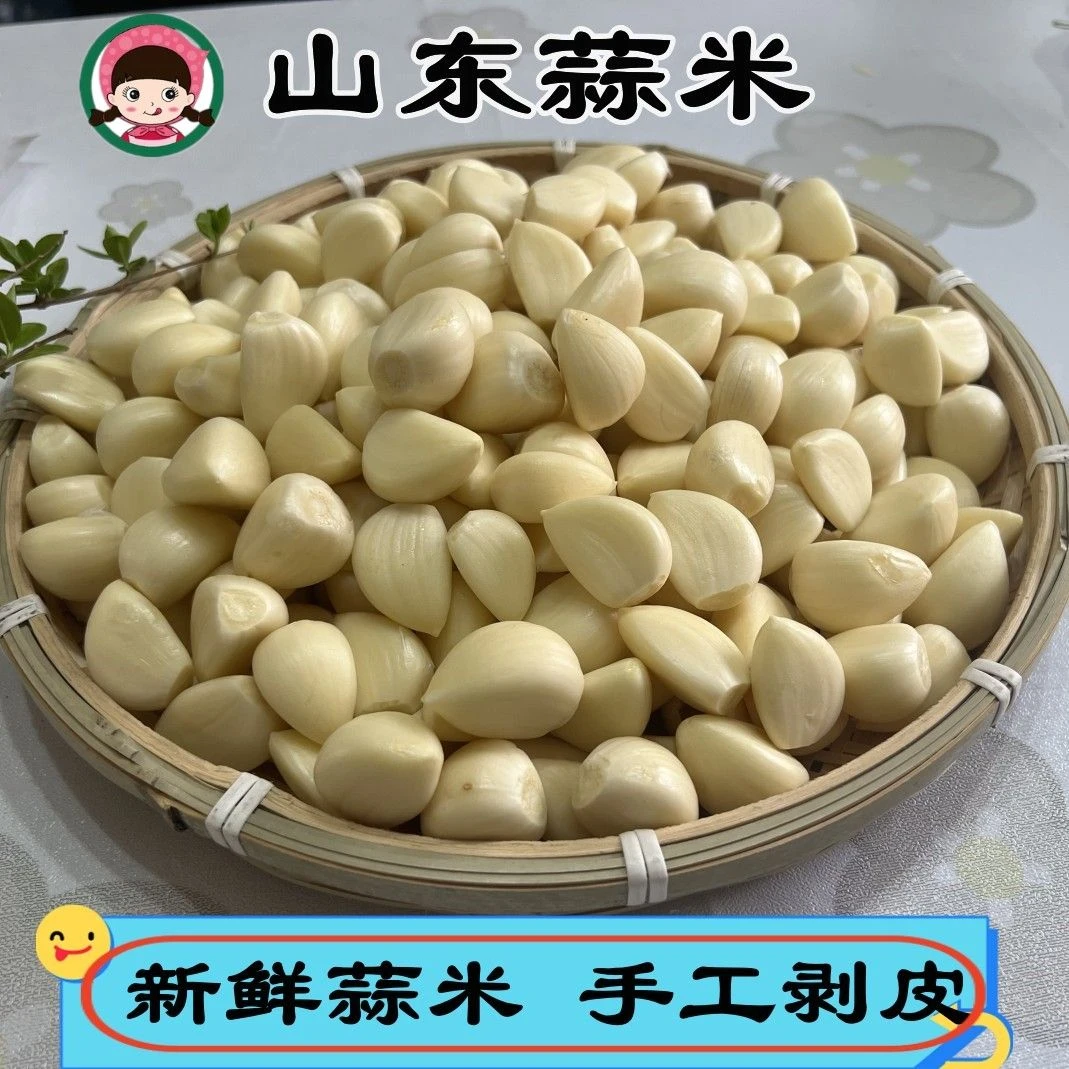 山东大蒜去皮蒜米剥皮新鲜手工剥好皮的大蒜米蒜瓣干大蒜头包邮