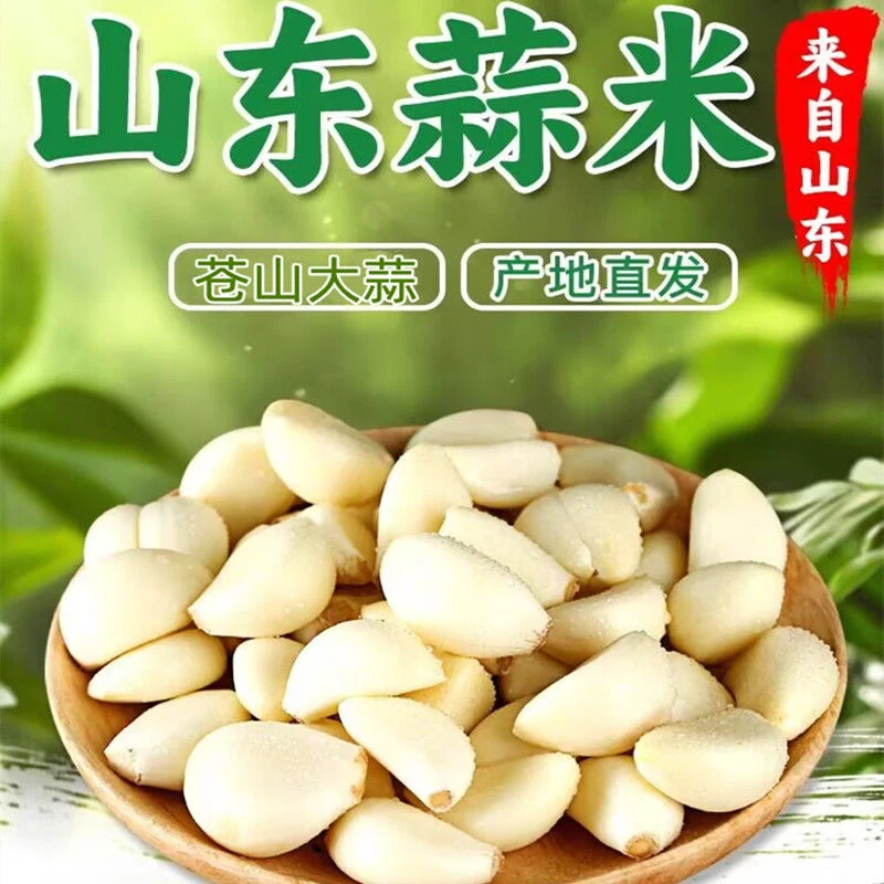 新鲜正宗山东苍山大蒜米手工剥皮大蒜去皮特级山东苍山四六瓣蒜米
