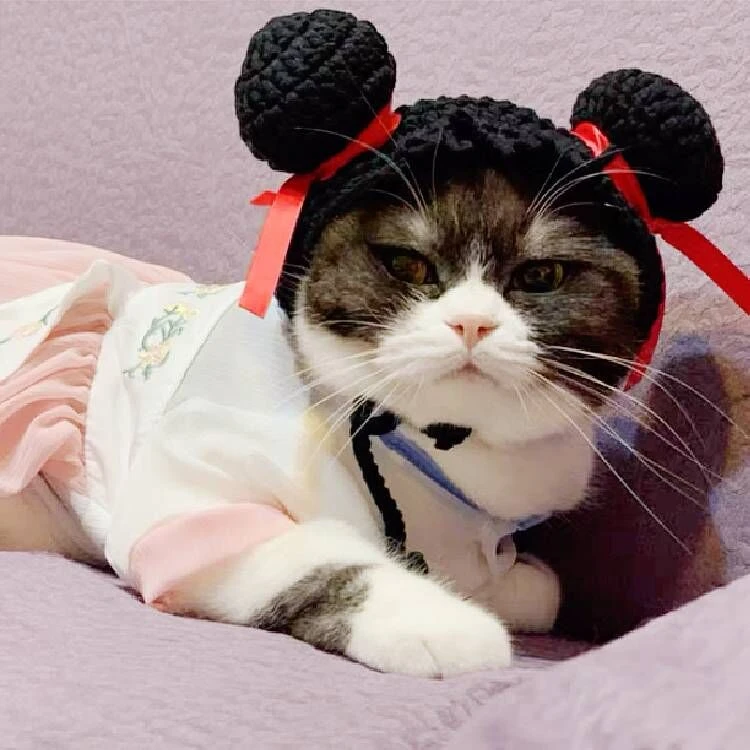 宠物猫咪头套狗狗可爱搞怪小狗小猫帽子哪咤变身装狗头套针织秋冬