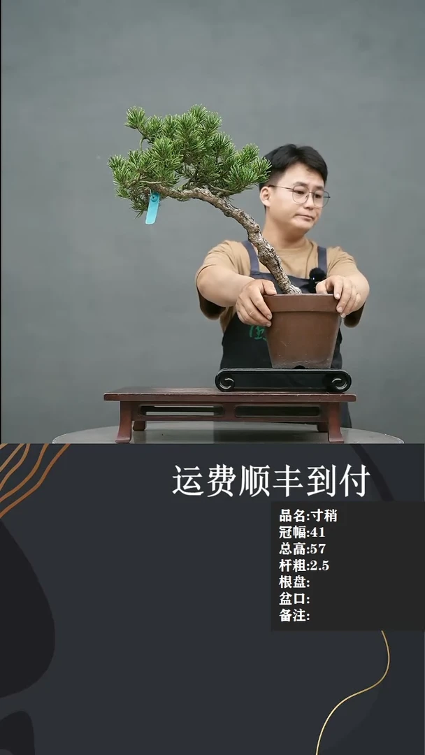 【闪购商品】4寸稍