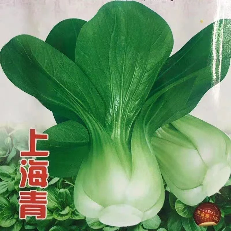 【满5元包邮】四季上海青种子