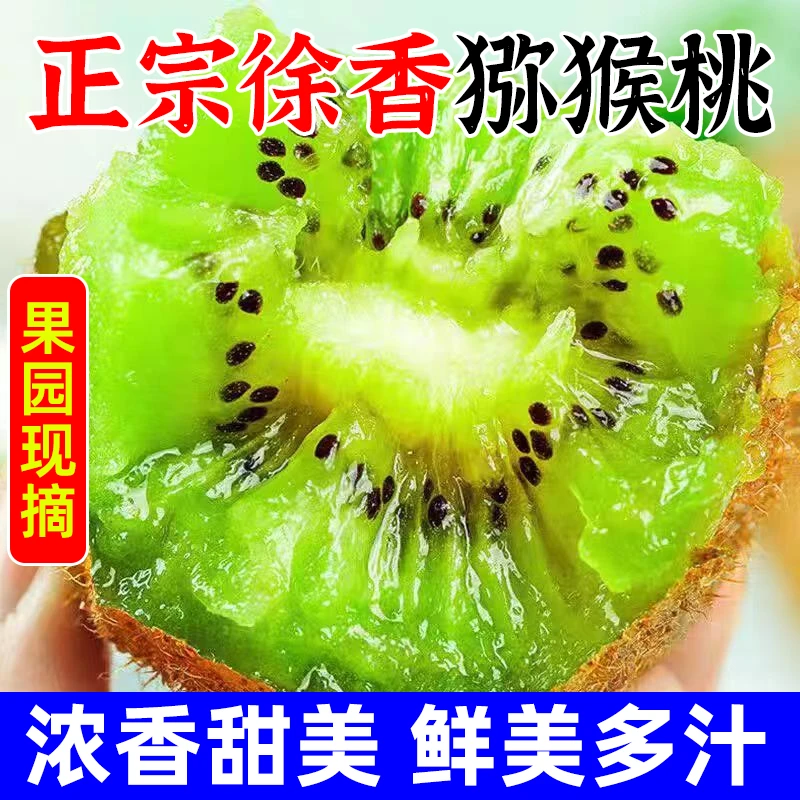 Z【放软再吃】陕西徐香猕猴桃奇异果粉糯香甜现摘现发60克-90克