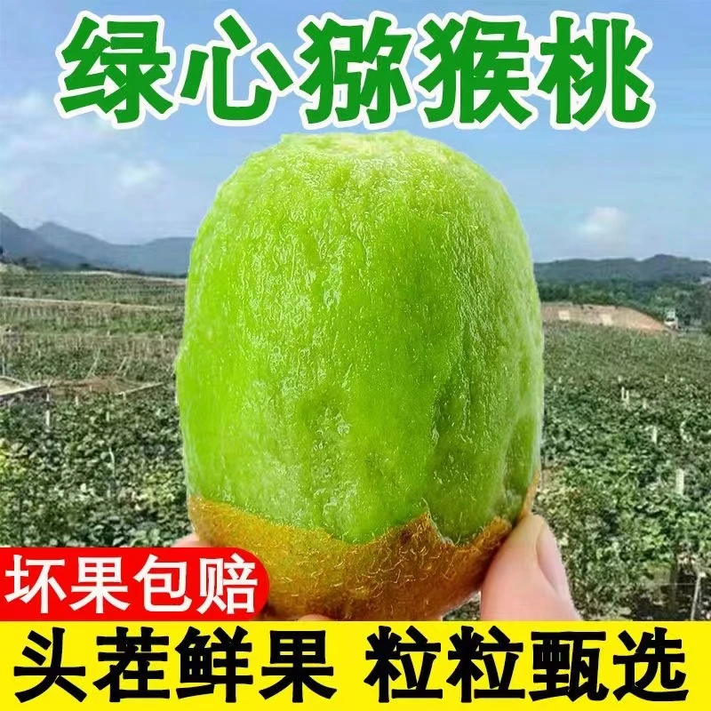 Z陕西原产地亚特奶油绿心猕猴桃现摘现发新鲜15粒60克-90克果香