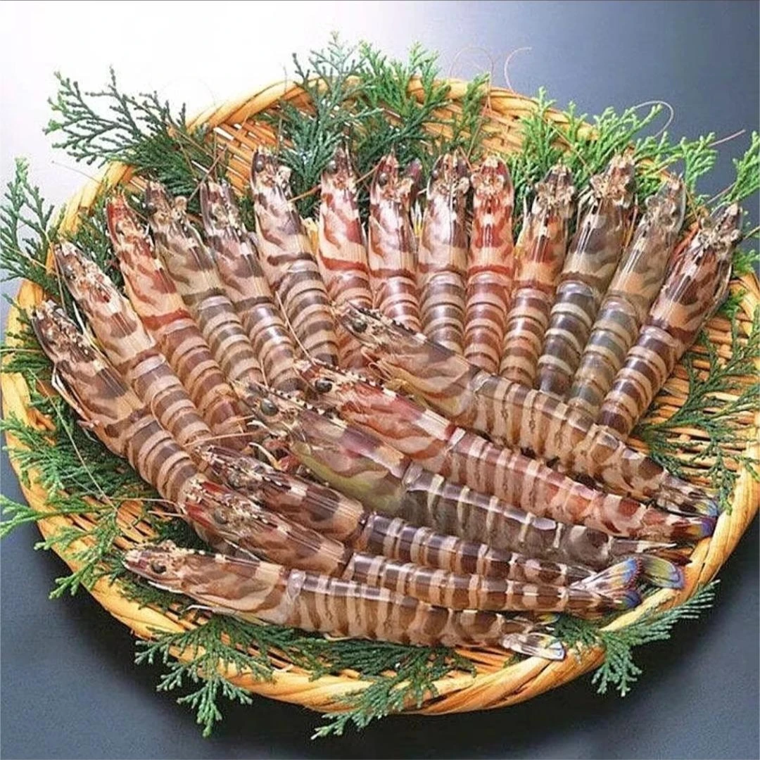 （嫌小勿拍））野生竹节虾九节虾30只左右/斤 250g/盒  4+1盒活冻