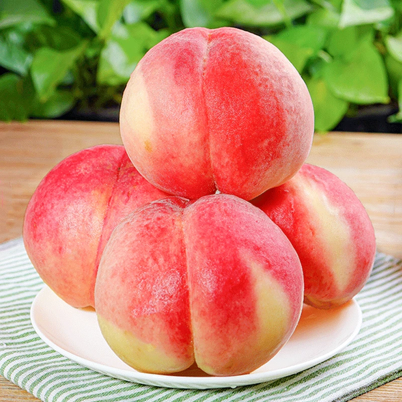 【脆蜜桃】山西红不软桃子当应季露天孕妇小孩新鲜水果现摘现发