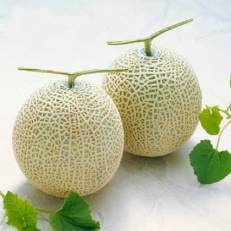 （张家港一小时送货到家）网纹瓜礼盒一箱两个