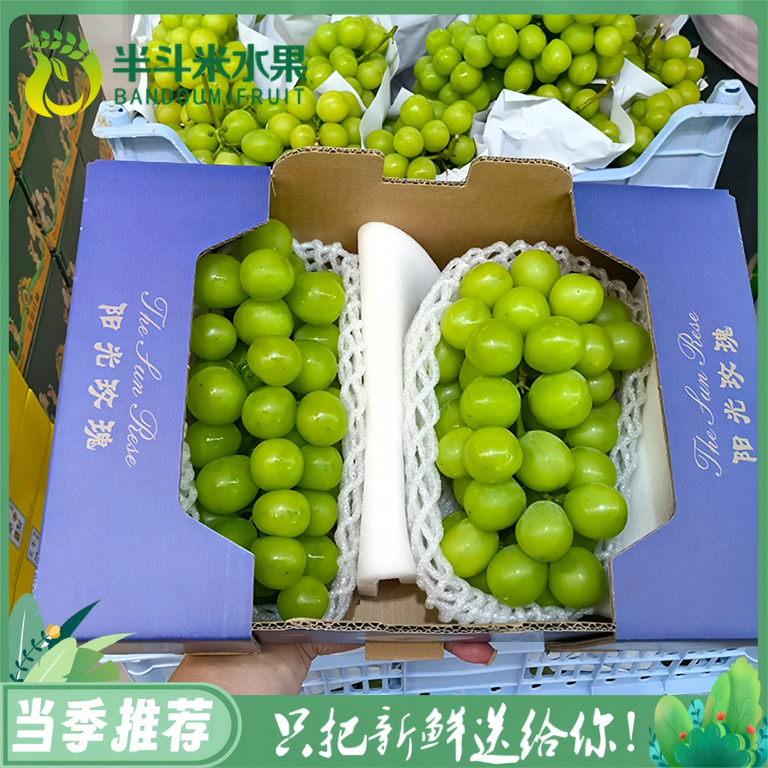 【B级】新鲜阳光玫瑰葡萄1箱（带箱约3.2-3.5斤左右）