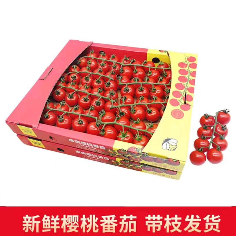 东方樱桃小番茄串柿樱桃番茄清爽水果生吃甄选非千禧番茄圣女果