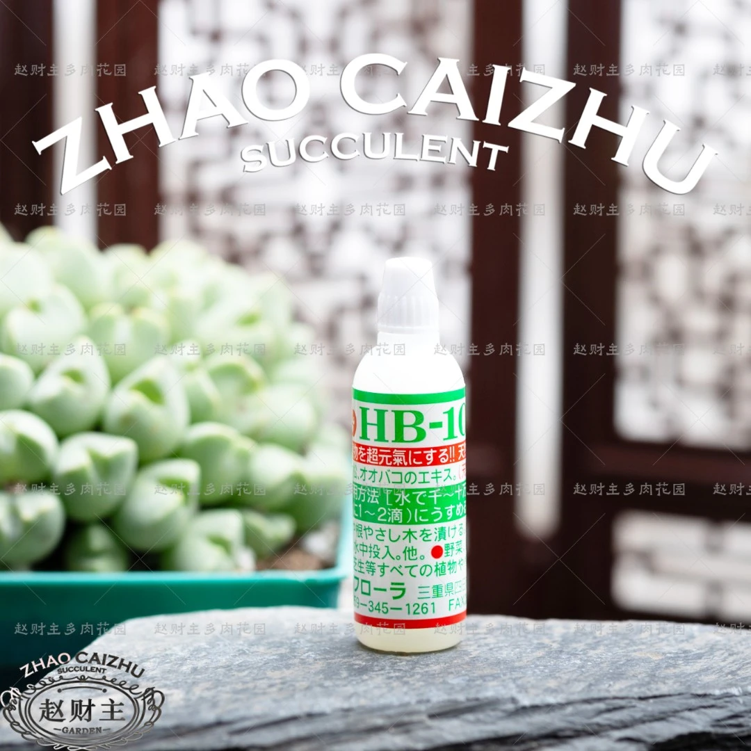日本原装HB101天然植物活力素 绿植 生石花 肉锥 促生根服盆浓缩