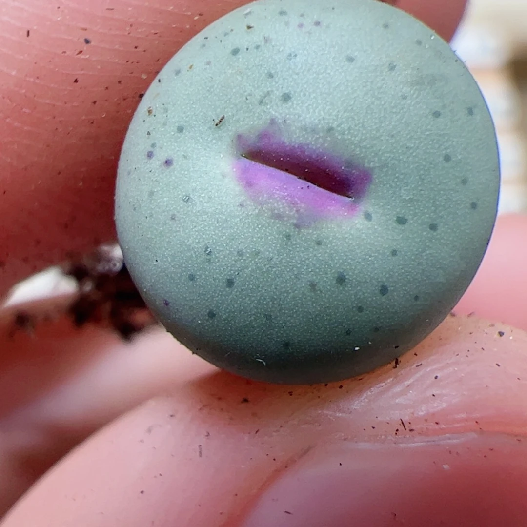 【闪购商品】147 福利