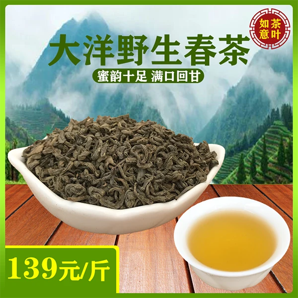 大洋炒茶2025明前新春茶揭阳揭西高山野生炒茶浓香绿茶高山茶