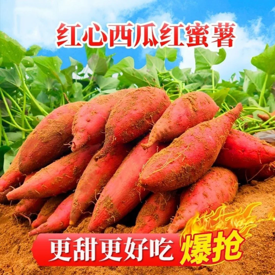 农家现挖新鲜沙地西瓜红蜜薯红心糖心蜜薯3-5-9斤装软糯香甜皮薄