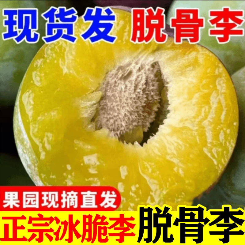 【专属2】正宗青李子脱骨李酸甜水果自然新鲜应季水果产地采摘直发