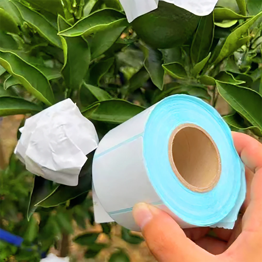 柑橘防晒纸农业果园防晒防水贴纸水果防晒贴柑橘树木防晒贴纸使用