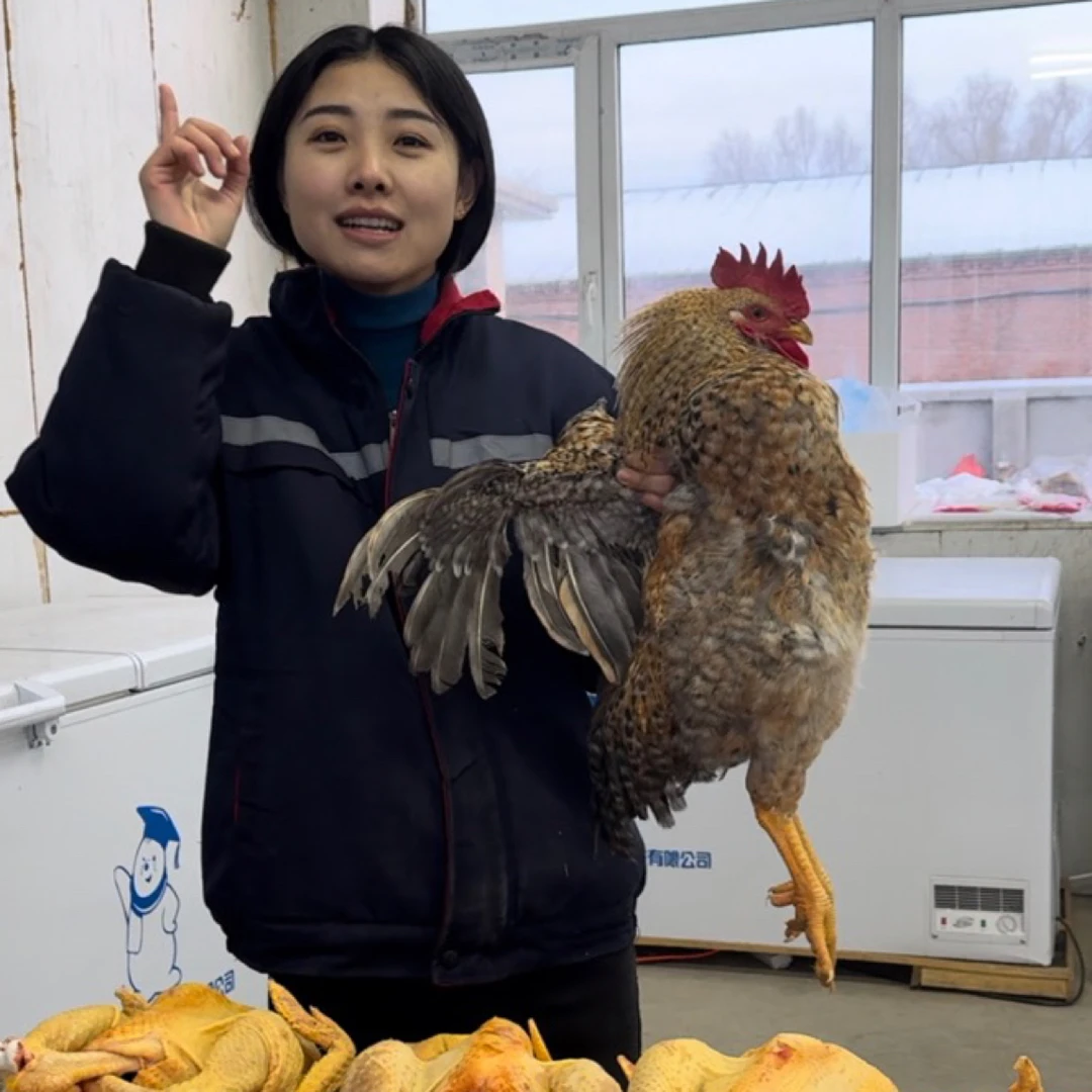 农村散养大公鸡 净重6斤以上 活鸡现杀 顺丰快递