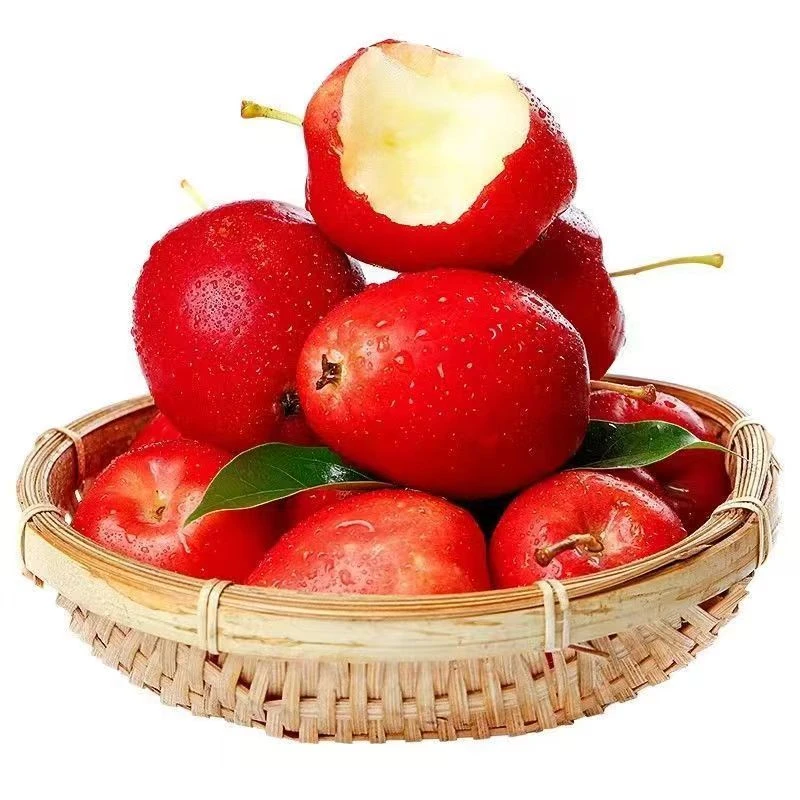 Z新疆果内蒙分仓发货香妃海棠果鸡心果3斤装包邮