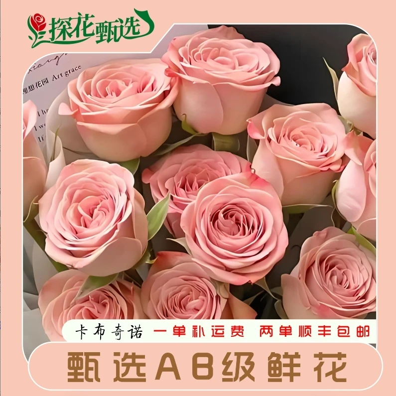 卡布奇诺 玫瑰 云南基地直发 店内购满两单起发 顺丰治