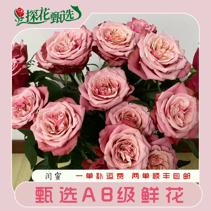 【探花甄选】闺蜜 玫瑰 云南基地直发 两单顺丰冷链