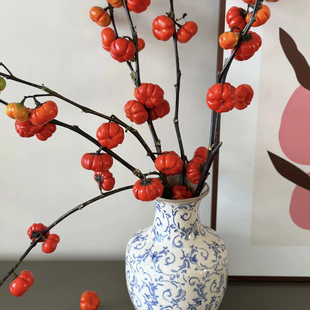 【探花甄选】小南瓜云南斗南鲜花网购鲜花 任浪漫七夕礼