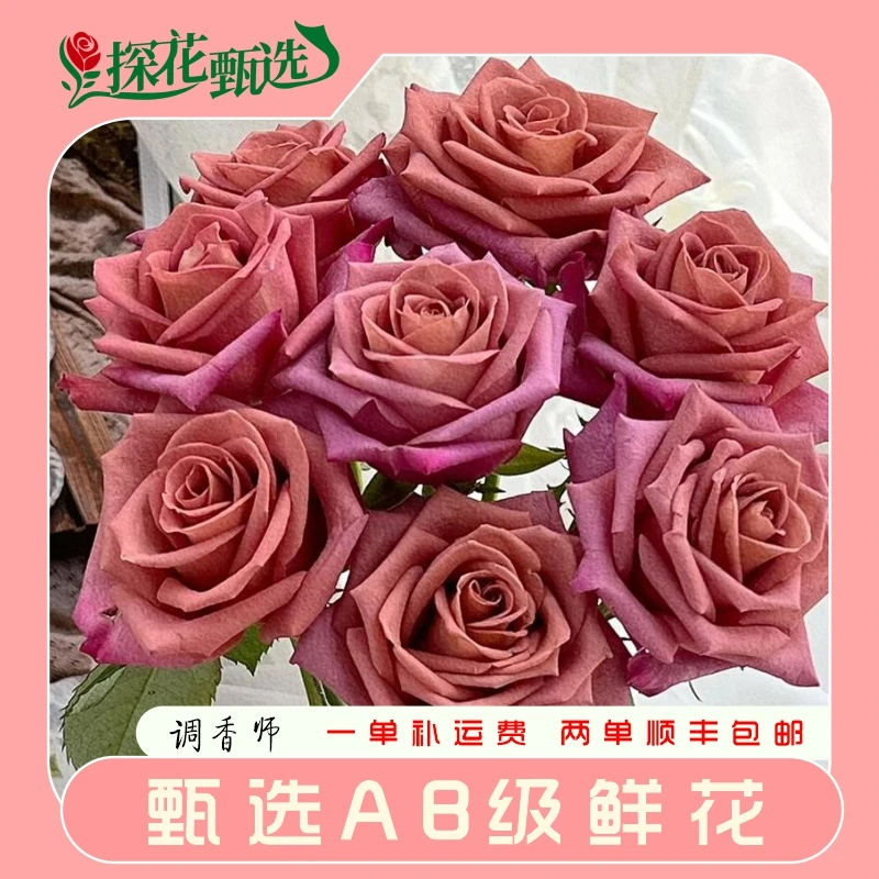 调香师A级 单头玫瑰 云南基地直发 两单起发 顺丰冷链