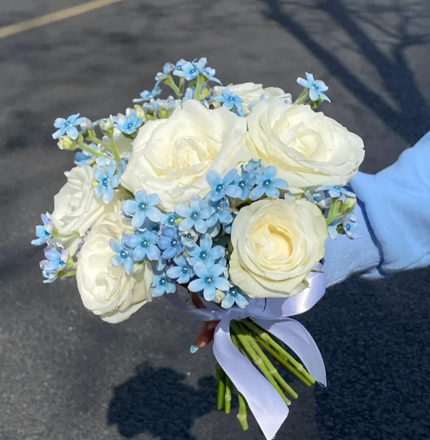 【探花甄选】坦尼克蓝星花组合 云南基地直发 店内两个治