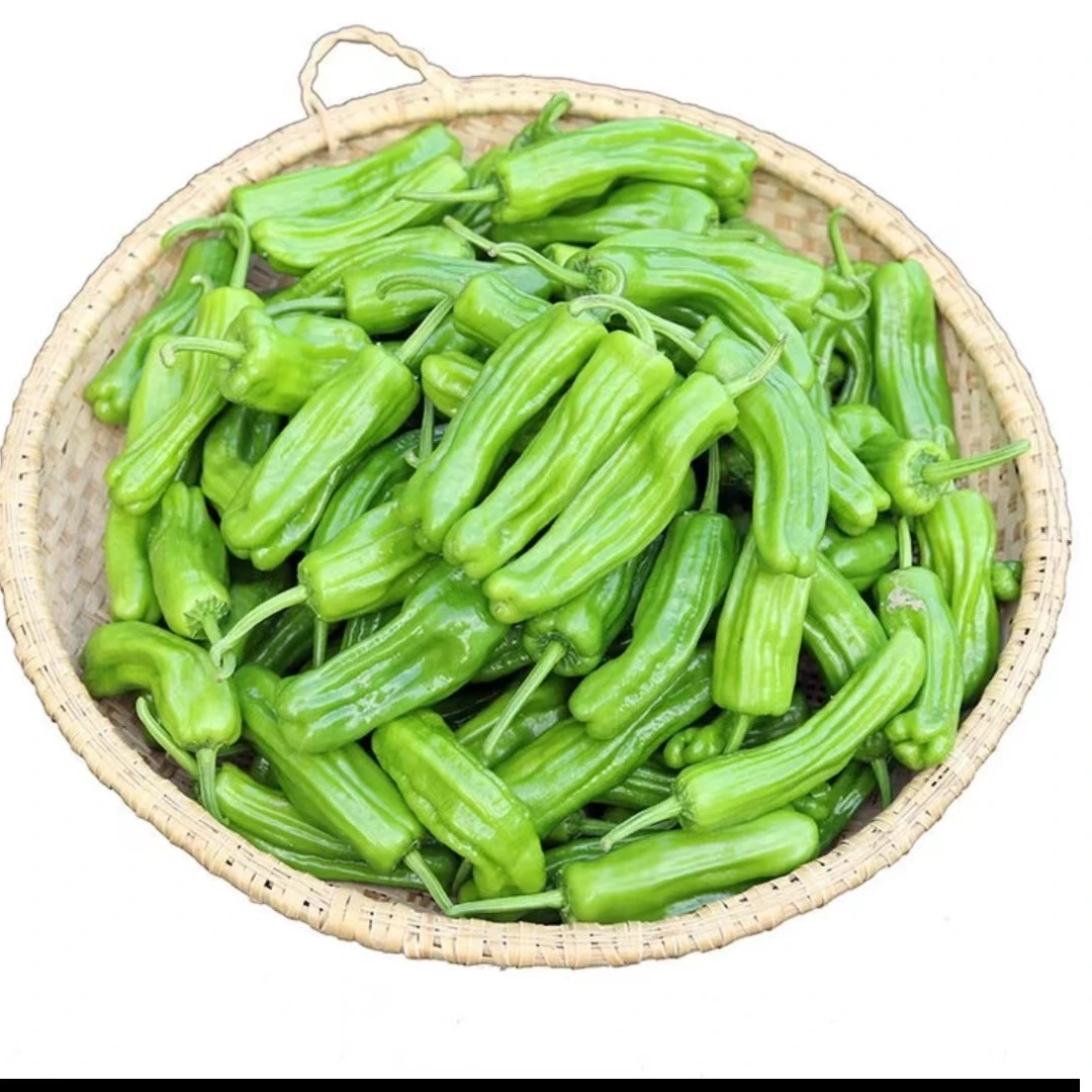 特色农产品青椒500g