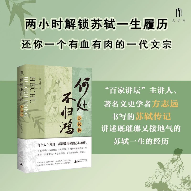何处不归鸿:苏轼传 新华书店正版