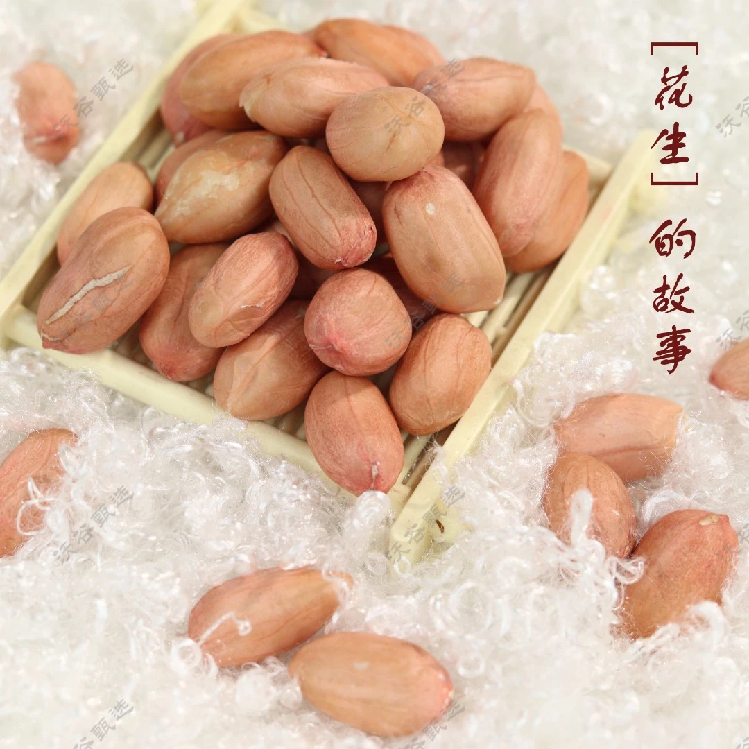 现剥新花生米生新货粉皮新鲜大粒优选不带壳可榨油花生仁营养
