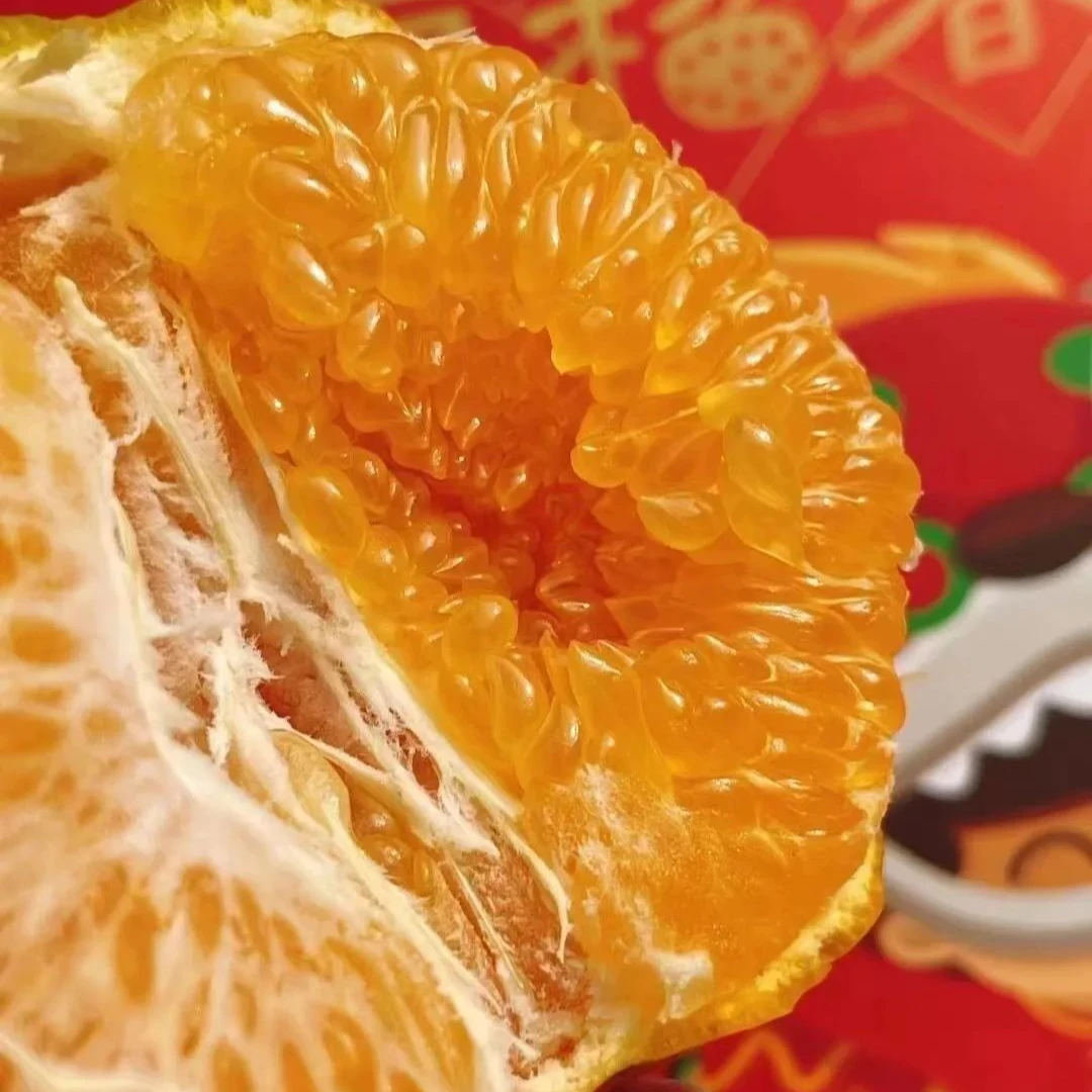 （福建）科果耙耙柑一份3斤左右福建省