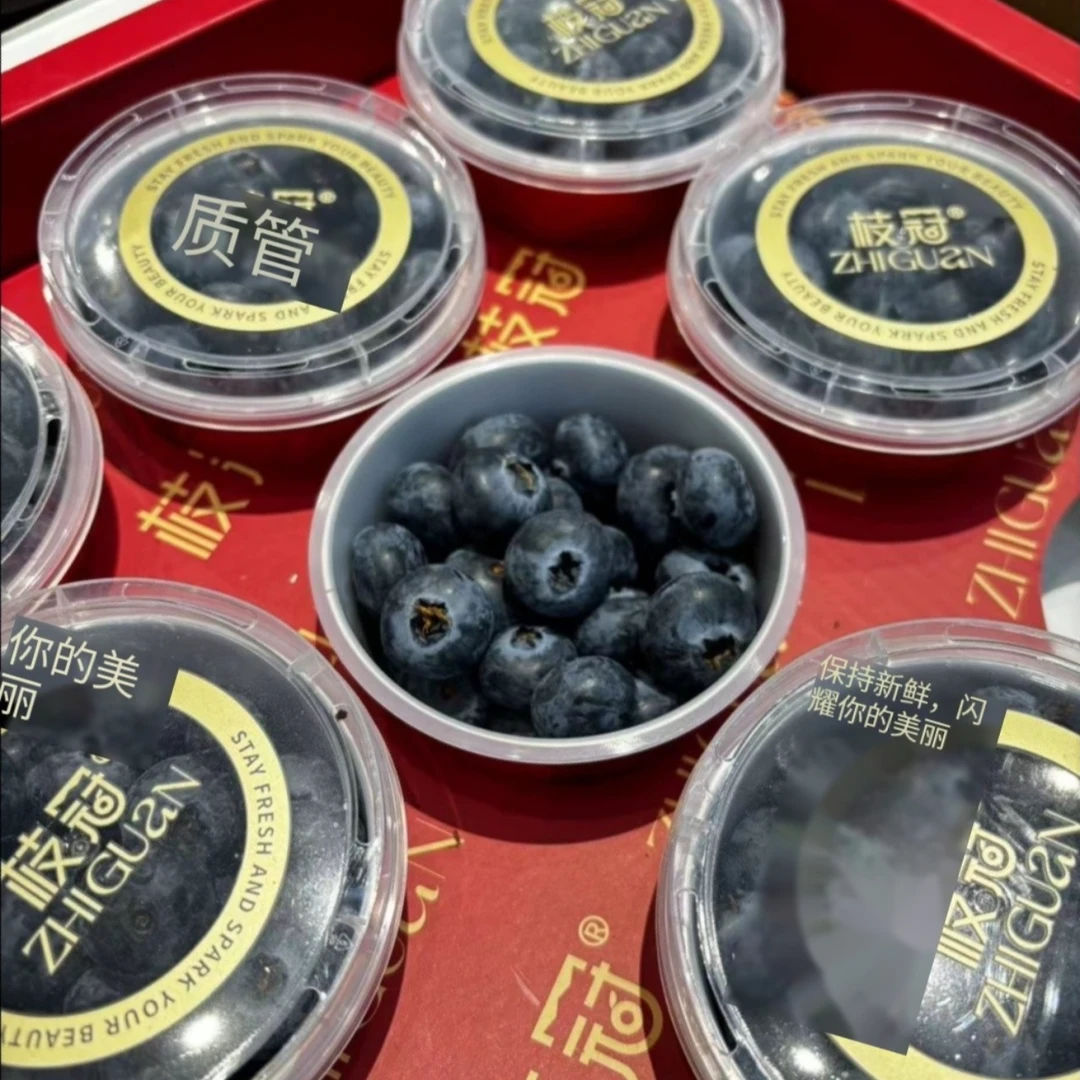 枝冠蓝莓1盒
