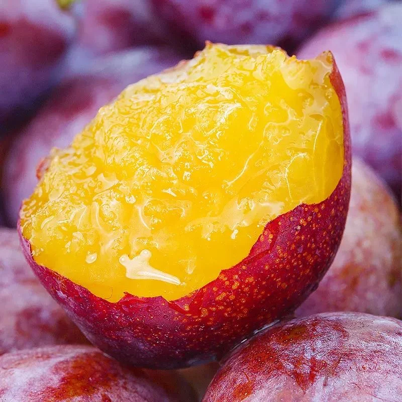 水果2店胖丫哈仓发 西梅 皱尾不售后 红黄箱随机发 粉丝到手4.5斤