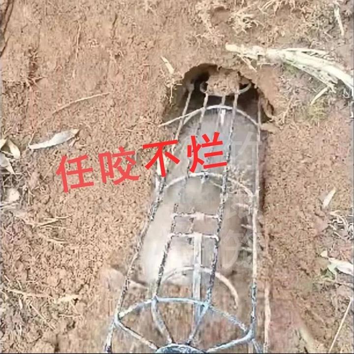 竹鼠笼神器加粗0.5cm钢筋不锈半斤-6斤可用