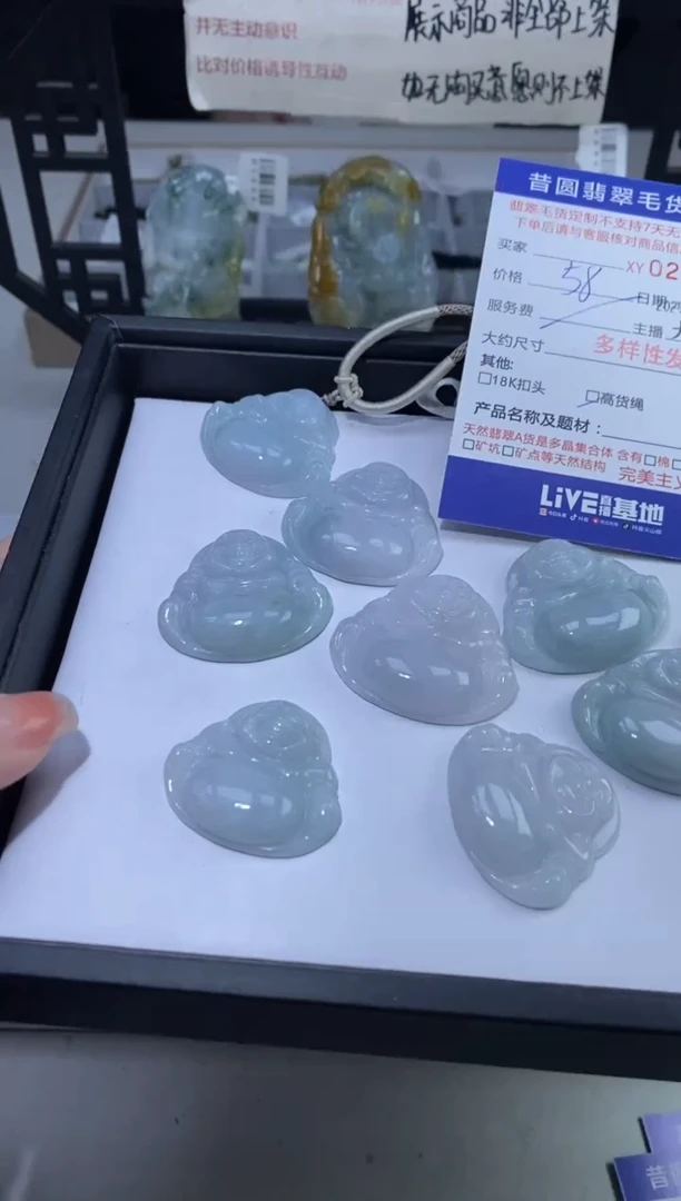 【闪购商品】翡翠颈饰未镶嵌多样性发其一274541