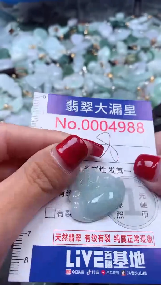 颈饰未镶嵌翡翠4988