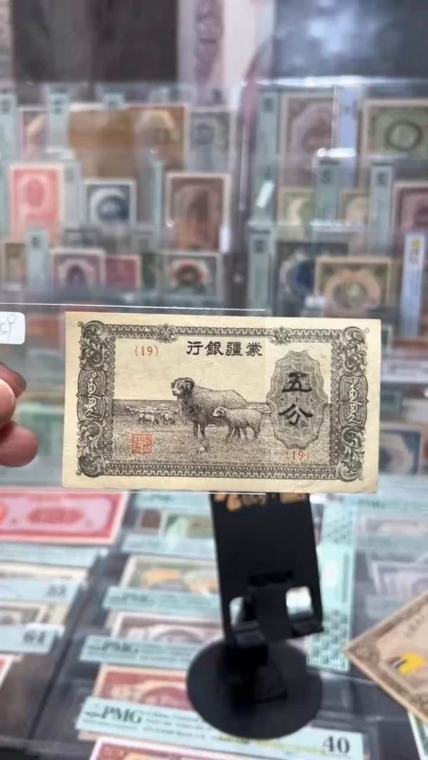 【闪购商品】纸小马直播间包邮福利!!!