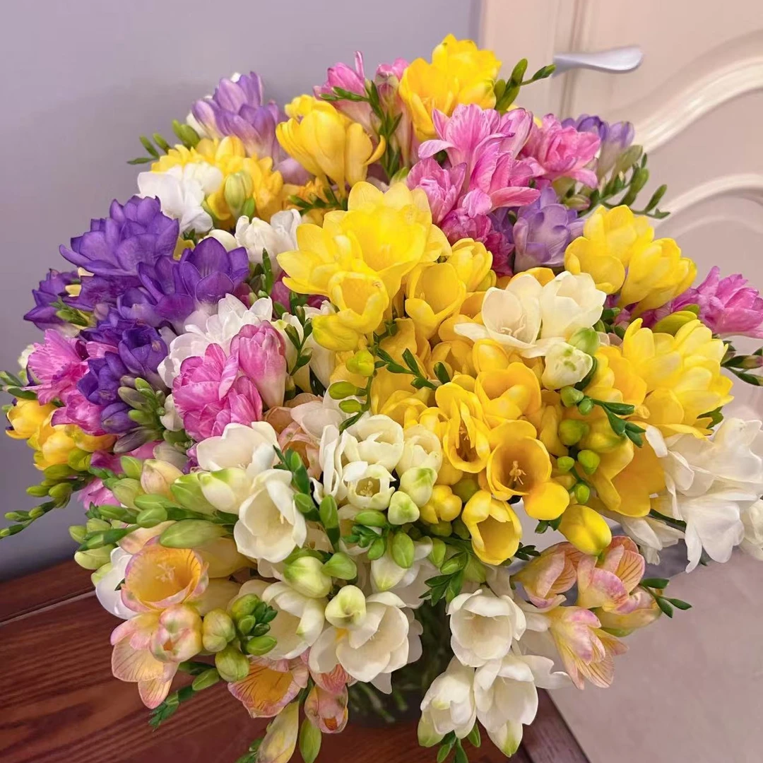 【墩墩】《一盆》香雪兰带花苞发货开花蝴蝶带香味