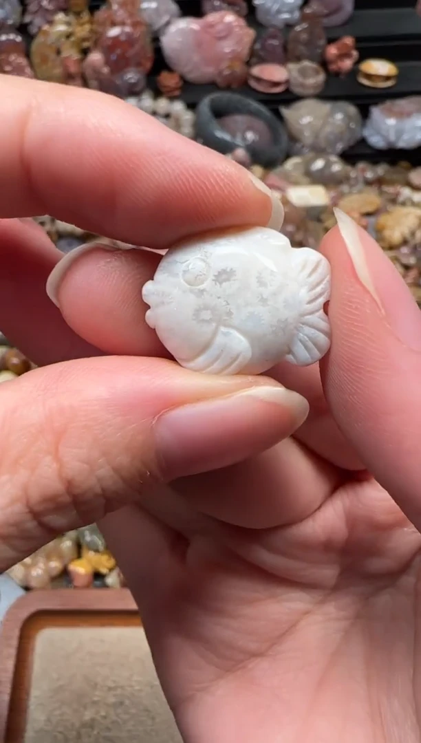 颈饰未镶嵌硅化珊瑚（珊瑚玉）311