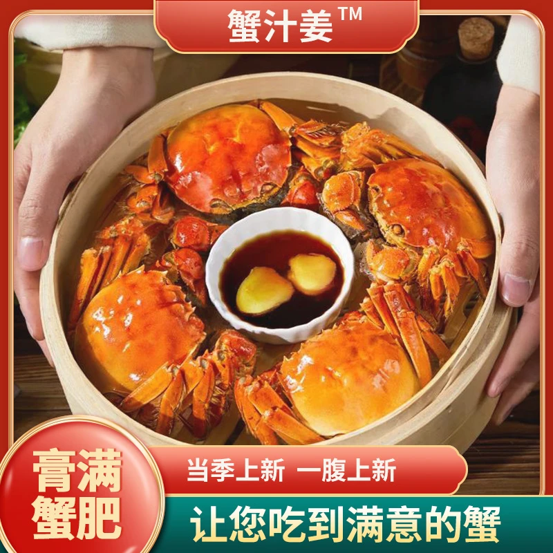 【3.5两公+3.0两母】现捕鲜活正宗固城湖大闸蟹活蟹8-10只顺丰包邮