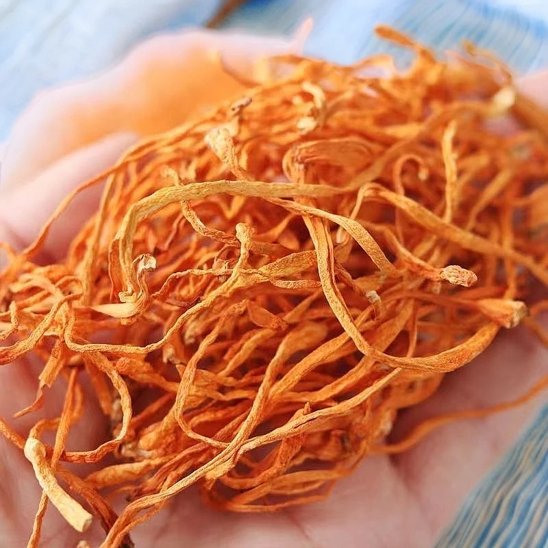 云南山货大孢子头虫草花干货新鲜无硫土特产