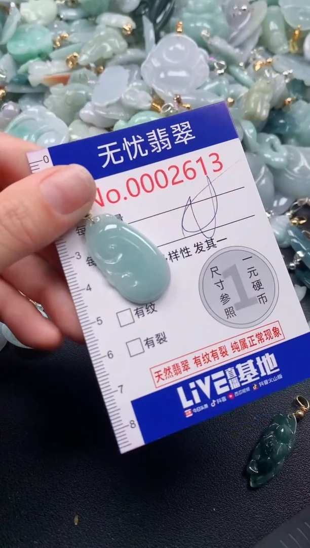 吊坠(不含链)未镶嵌翡翠2613