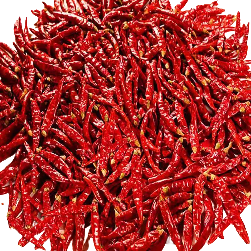 特辣天然晒干巨辣特香美味农家干辣椒爆辣辣椒贵州辣椒干辣椒