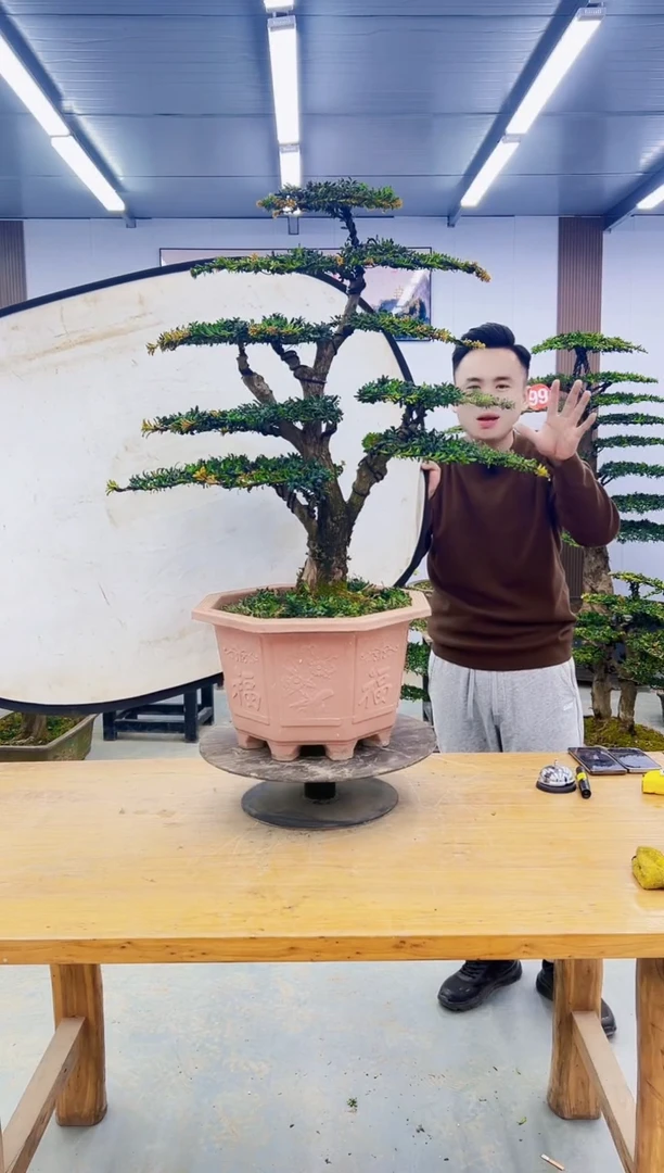 无花朵00000000000000000000