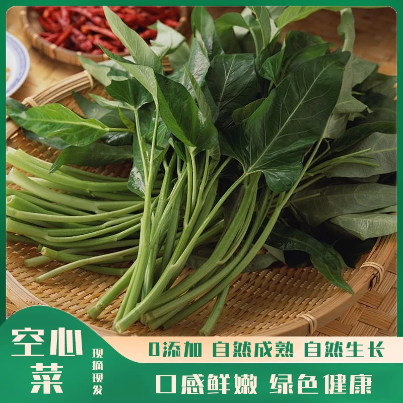 【本地农户种植】空心菜2000g绿色蔬菜菠菜